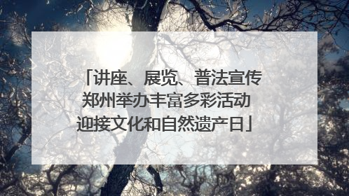 讲座、展览、普法宣传 郑州举办丰富多彩活动迎接文化和自然遗产日