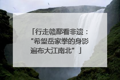 行走赣鄱看非遗：“希望岳家拳的身影遍布大江南北”