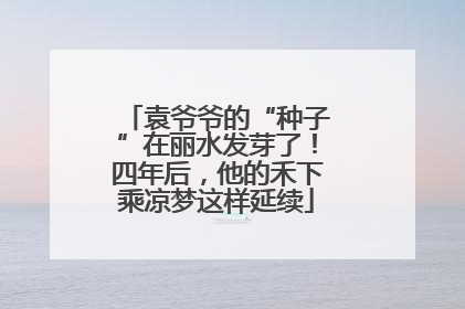 袁爷爷的“种子”在丽水发芽了！四年后，他的禾下乘凉梦这样延续