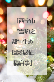 西宁市“雪豹之都”生态摄影展征稿启事