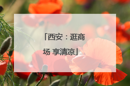 西安：逛商场 享清凉