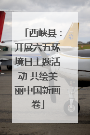 西峡县：开展六五环境日主题活动 共绘美丽中国新画卷