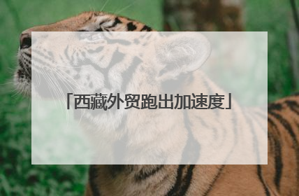 西藏外贸跑出加速度