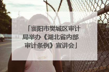 襄阳市樊城区审计局举办《湖北省内部审计条例》宣讲会