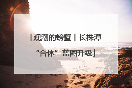 观潮的螃蟹丨长株潭“合体”蓝图升级