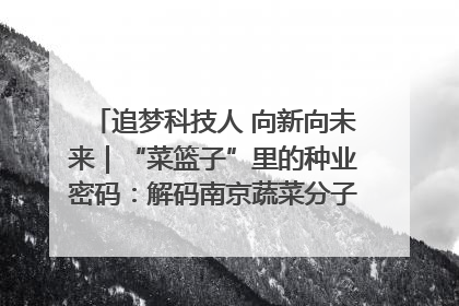 追梦科技人 向新向未来｜“菜篮子”里的种业密码：解码南京蔬菜分子育种的创新之路