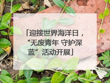 迎接世界海洋日，“无废青年 守护深蓝”活动开展