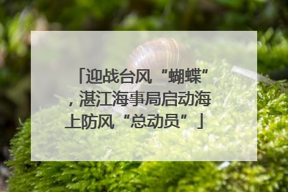 迎战台风“蝴蝶”，湛江海事局启动海上防风“总动员”