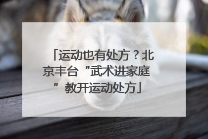 运动也有处方？北京丰台“武术进家庭”教开运动处方