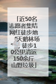 近50名志愿者集结网红徒步地“天鹅林场”，徒步10公里清运150余斤山野垃圾