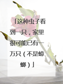 这种虫子看到一只，家里很可能已有一万只（不是蟑螂）