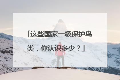 这些国家一级保护鸟类，你认识多少？