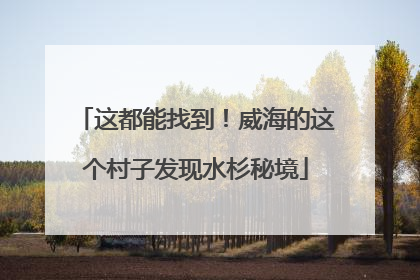 这都能找到！威海的这个村子发现水杉秘境