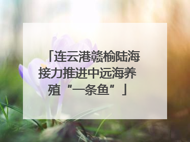 连云港赣榆陆海接力推进中远海养殖“一条鱼”