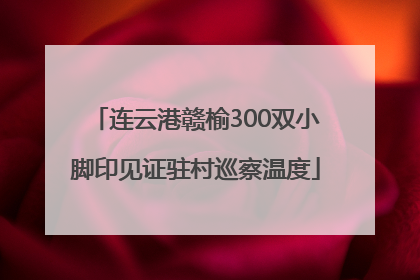 连云港赣榆300双小脚印见证驻村巡察温度