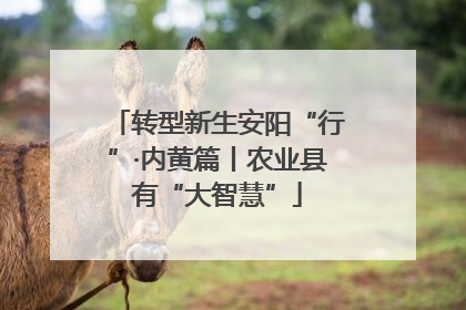 转型新生安阳“行”·内黄篇丨农业县有“大智慧”