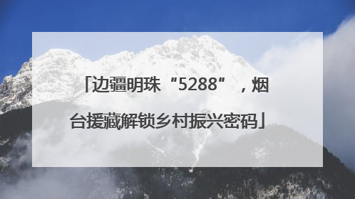 边疆明珠“5288”，烟台援藏解锁乡村振兴密码
