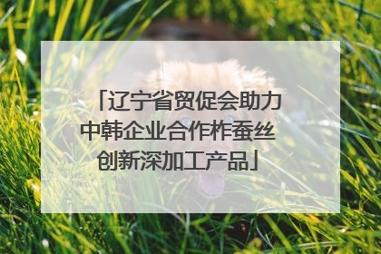 辽宁省贸促会助力中韩企业合作柞蚕丝创新深加工产品