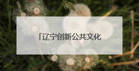 辽宁创新公共文化服务模式 打造城市主题文化品牌