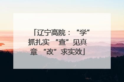 辽宁高院：“学”抓扎实 “查”见真章 “改”求实效