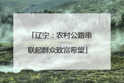 辽宁：农村公路串联起群众致富希望