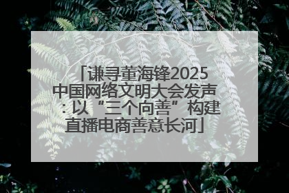 谦寻董海锋2025中国网络文明大会发声：以“三个向善”构建直播电商善意长河