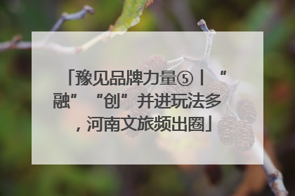 豫见品牌力量⑤丨“融”“创”并进玩法多，河南文旅频出圈