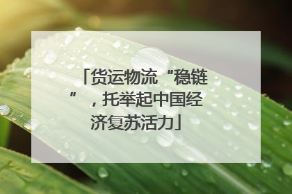 货运物流“稳链”，托举起中国经济复苏活力