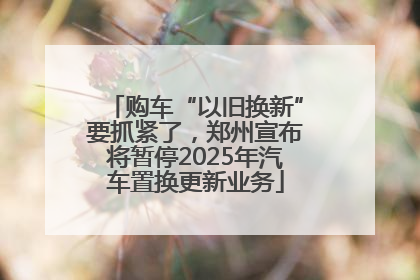 购车“以旧换新”要抓紧了，郑州宣布将暂停2025年汽车置换更新业务
