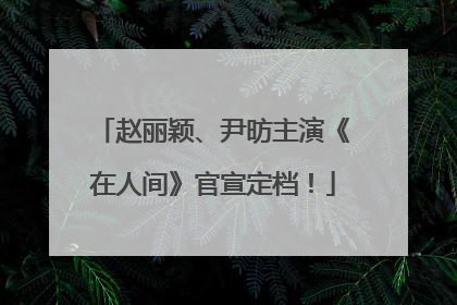赵丽颖、尹昉主演《在人间》官宣定档！