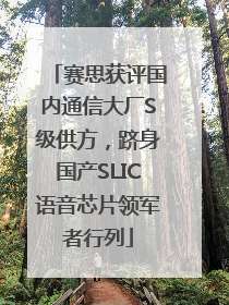 赛思获评国内通信大厂S级供方，跻身国产SLIC语音芯片领军者行列