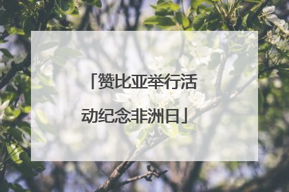 赞比亚举行活动纪念非洲日