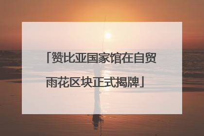 赞比亚国家馆在自贸雨花区块正式揭牌
