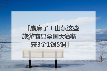 赢麻了！山东这些旅游商品全国大赛斩获3金1银5铜