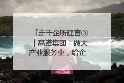走千企听建言③｜高诺集团：做大产业服务业，给企业更多创新空间