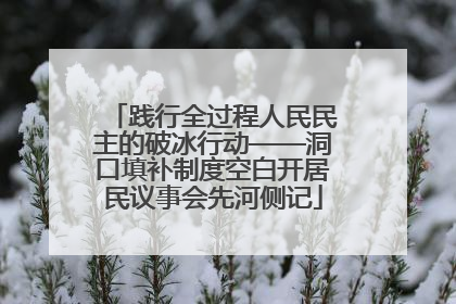 践行全过程人民民主的破冰行动——洞口填补制度空白开居民议事会先河侧记