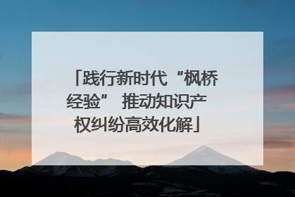 践行新时代“枫桥经验” 推动知识产权纠纷高效化解