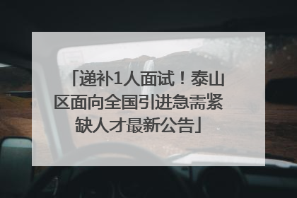 递补1人面试！泰山区面向全国引进急需紧缺人才最新公告