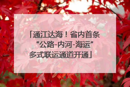 通江达海！省内首条“公路-内河-海运”多式联运通道开通