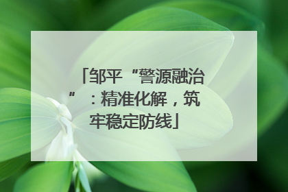 邹平“警源融治”：精准化解，筑牢稳定防线