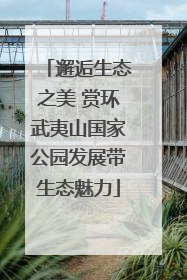 邂逅生态之美 赏环武夷山国家公园发展带生态魅力