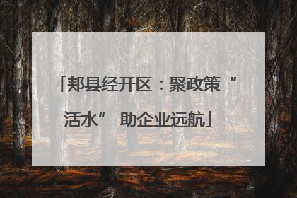 郏县经开区：聚政策“活水” 助企业远航