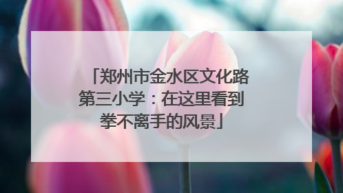 郑州市金水区文化路第三小学：在这里看到拳不离手的风景