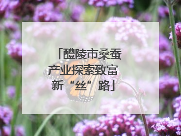 醴陵市桑蚕产业探索致富新“丝”路
