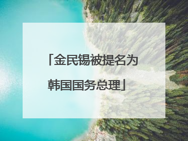 金民锡被提名为韩国国务总理