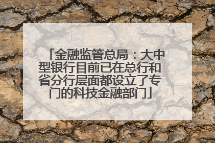 金融监管总局：大中型银行目前已在总行和省分行层面都设立了专门的科技金融部门