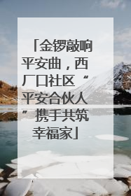 金锣敲响平安曲，西厂口社区“平安合伙人”携手共筑幸福家