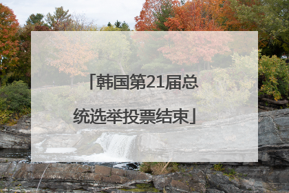 韩国第21届总统选举投票结束