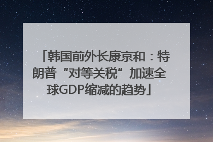 韩国前外长康京和：特朗普“对等关税”加速全球GDP缩减的趋势