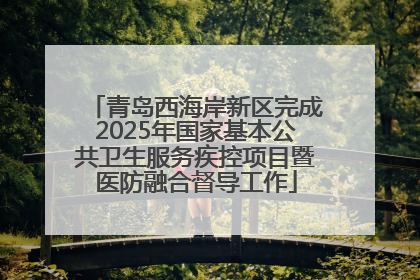 青岛西海岸新区完成2025年国家基本公共卫生服务疾控项目暨医防融合督导工作